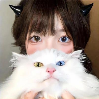 智勇新警界粤语